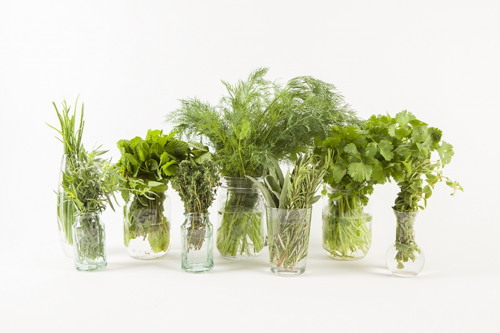 various herbs in jars